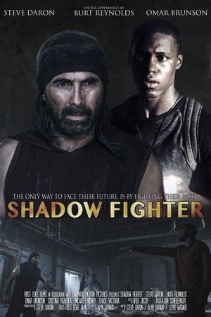 Shadow Fighter's poster