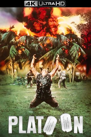 Platoon's poster