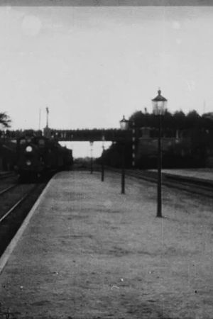 Empress Dagmar Arrives By Train's poster
