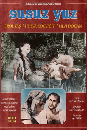 Dry Summer's poster