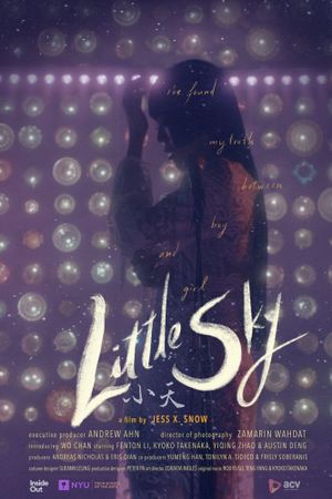 Little Sky's poster