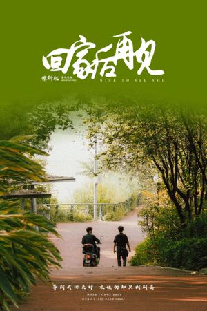 回家后再见's poster