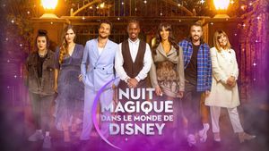 Magical Night in Disney World's poster