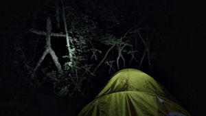 The Blair Witch Project's poster