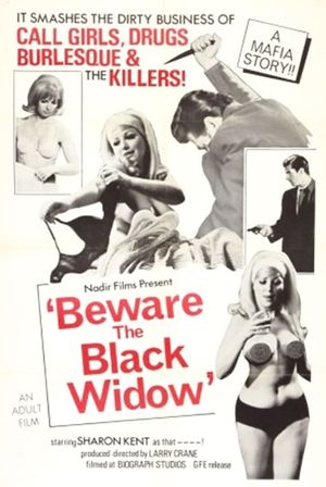 Beware the Black Widow's poster