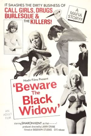 Beware the Black Widow's poster image