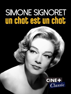 Simone Signoret, un chat est un chat's poster