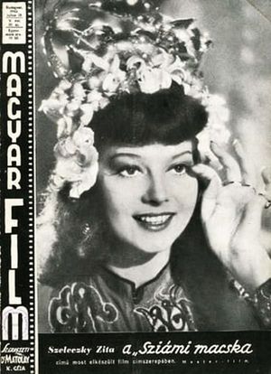 Sziámi macska's poster