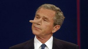 The World According To Bush's poster