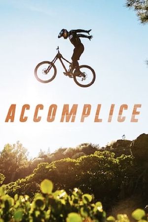Accomplice's poster