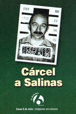 Cárcel a Salinas's poster image