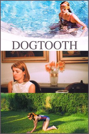 Dogtooth's poster