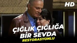 Çiglik Çigliga Bir Sevda's poster