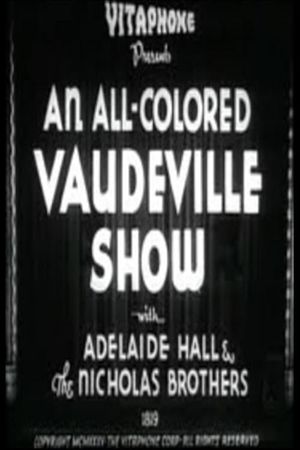 An All-Colored Vaudeville Show's poster image