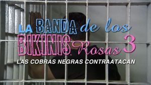 La banda de los bikinis rosas 3 - Las cobras negras contraatacan's poster