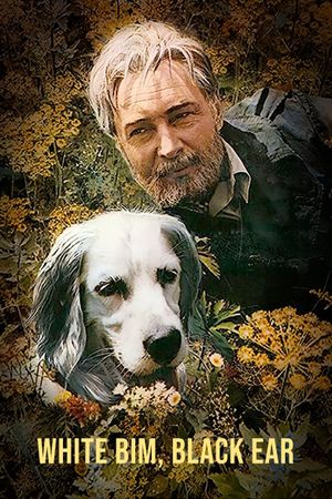 White Bim Black Ear's poster