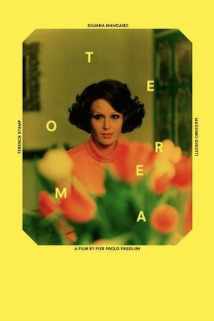 Teorema's poster