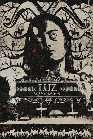 Luz: The Flower of Evil's poster