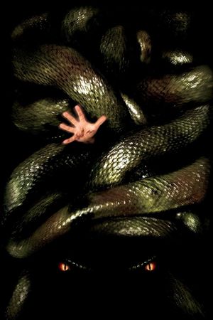 Anacondas: The Hunt for the Blood Orchid's poster