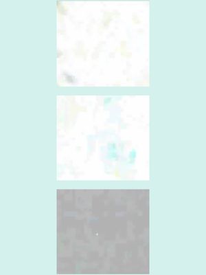 silence's poster