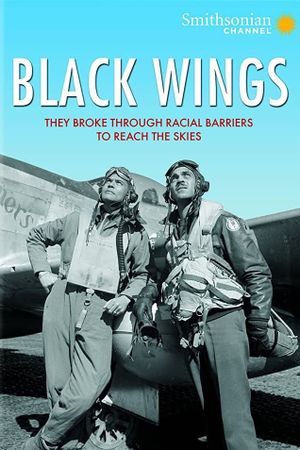 Black Wings's poster