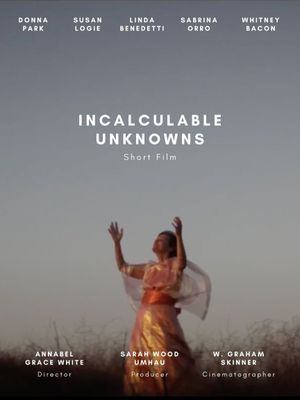 Incalculable Unknowns's poster