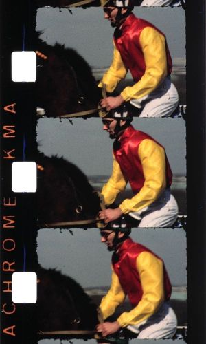 Chevaux (Introduction)'s poster image