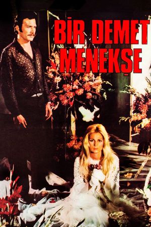 Bir Demet Menekse's poster