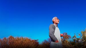 Hayao Miyazaki and the Heron's poster