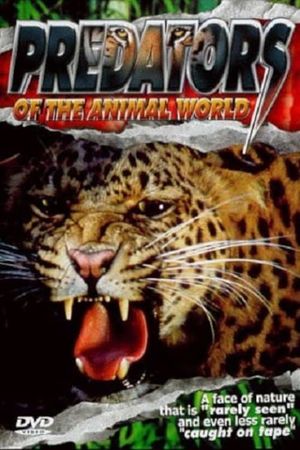 Predators of the Animal World's poster