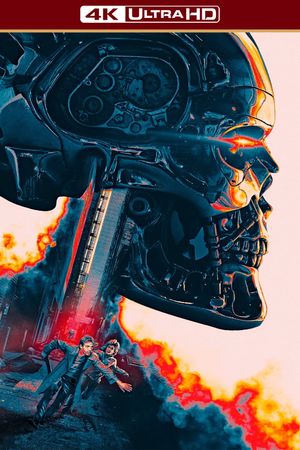 The Terminator's poster