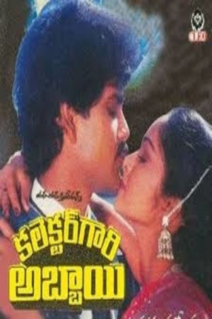 Collectorgari Abbayi's poster