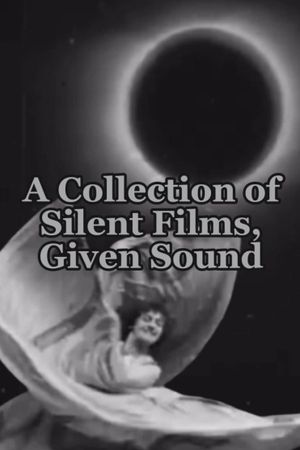 A Collection of Silent Films, Given Sound's poster