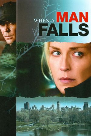 When a Man Falls's poster image