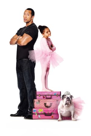 The Game Plan's poster