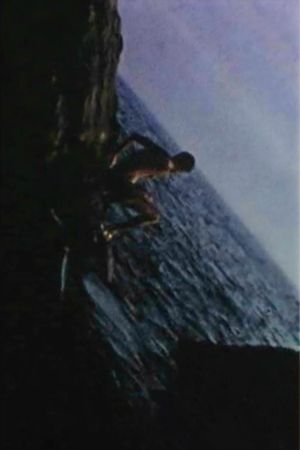 The Last Summer's poster