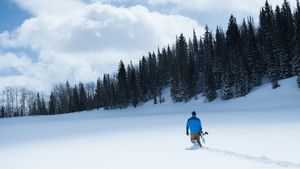 6 Below: Miracle on the Mountain's poster