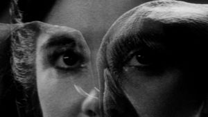 The Elephant Man's poster
