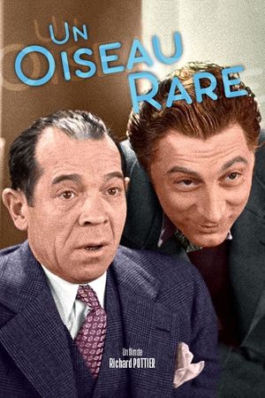 A Rare Bird's poster