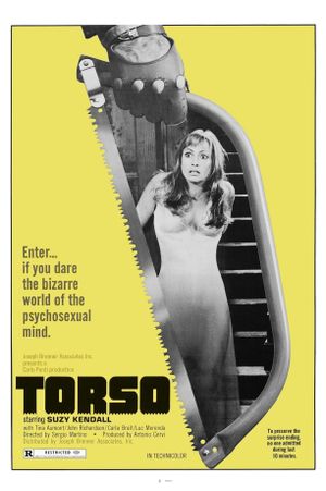 Torso's poster