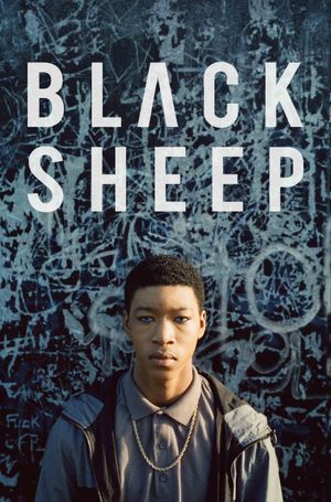 Black Sheep's poster