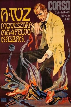 A Tüz's poster image