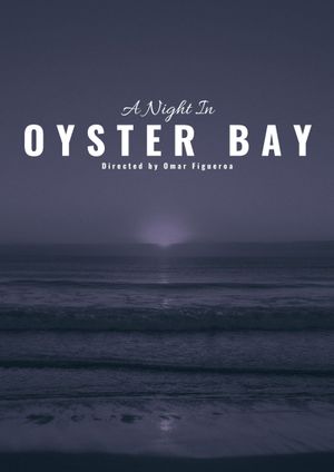 A Night in Oyster Bay's poster