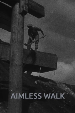 Aimless Walk's poster image