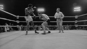 Raging Bull's poster