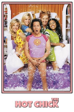 The Hot Chick's poster
