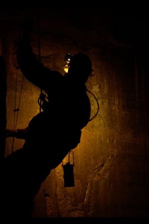 The Hole's poster
