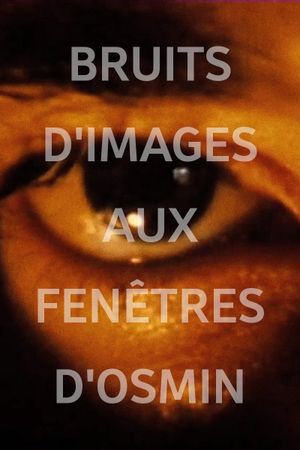 Image Noise (Osmin's Windows)'s poster