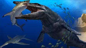 Sea Monsters: A Prehistoric Adventure's poster