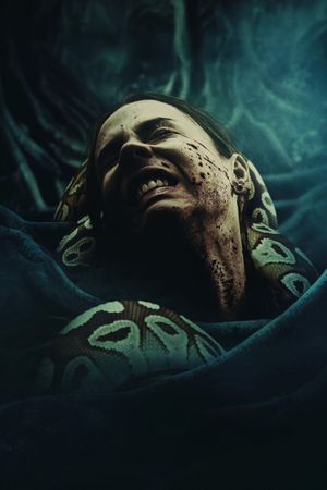 Quicksand's poster
